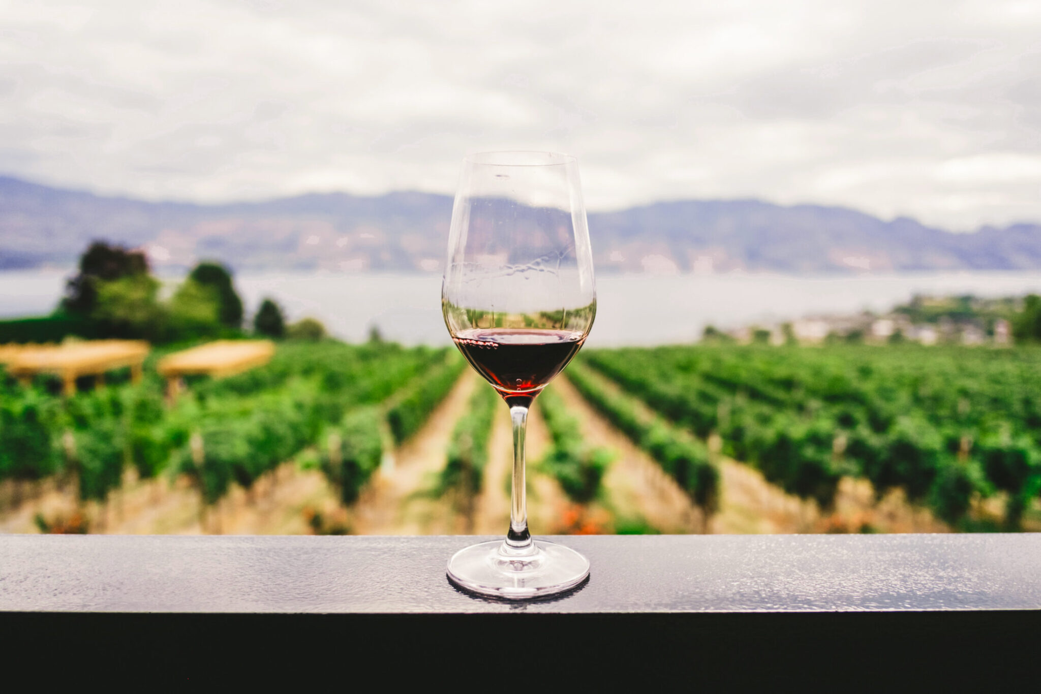Fun & Wine on the Lake